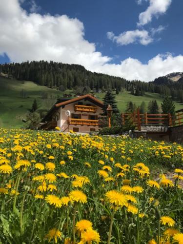 Vacanze in val di Fassa