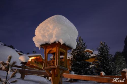 Sognando le Dolomiti